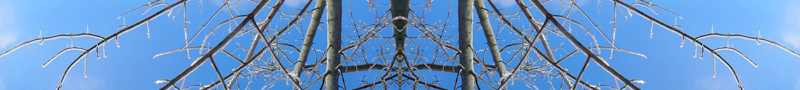 icetreedbl